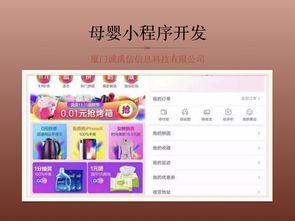 莆田與廈門軟件外包服務(wù) 從小程序開發(fā)到母嬰商場(chǎng)解決方案